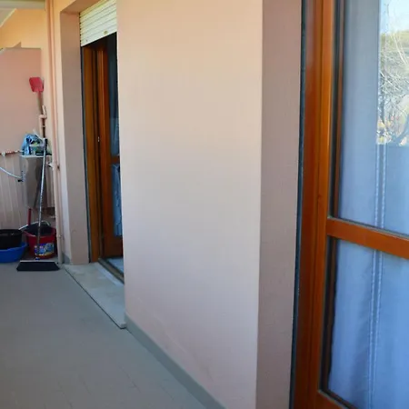 Apartment Flat Only 50m From The In *