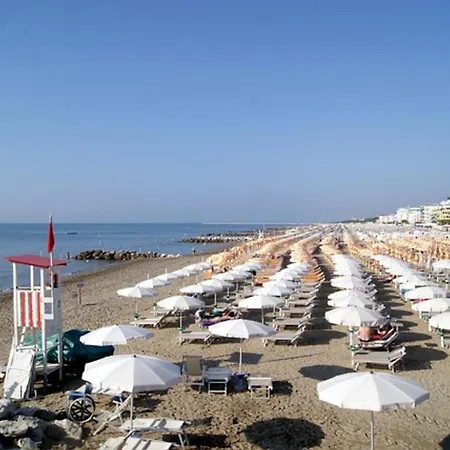Apartment Flat Only 50m From The In